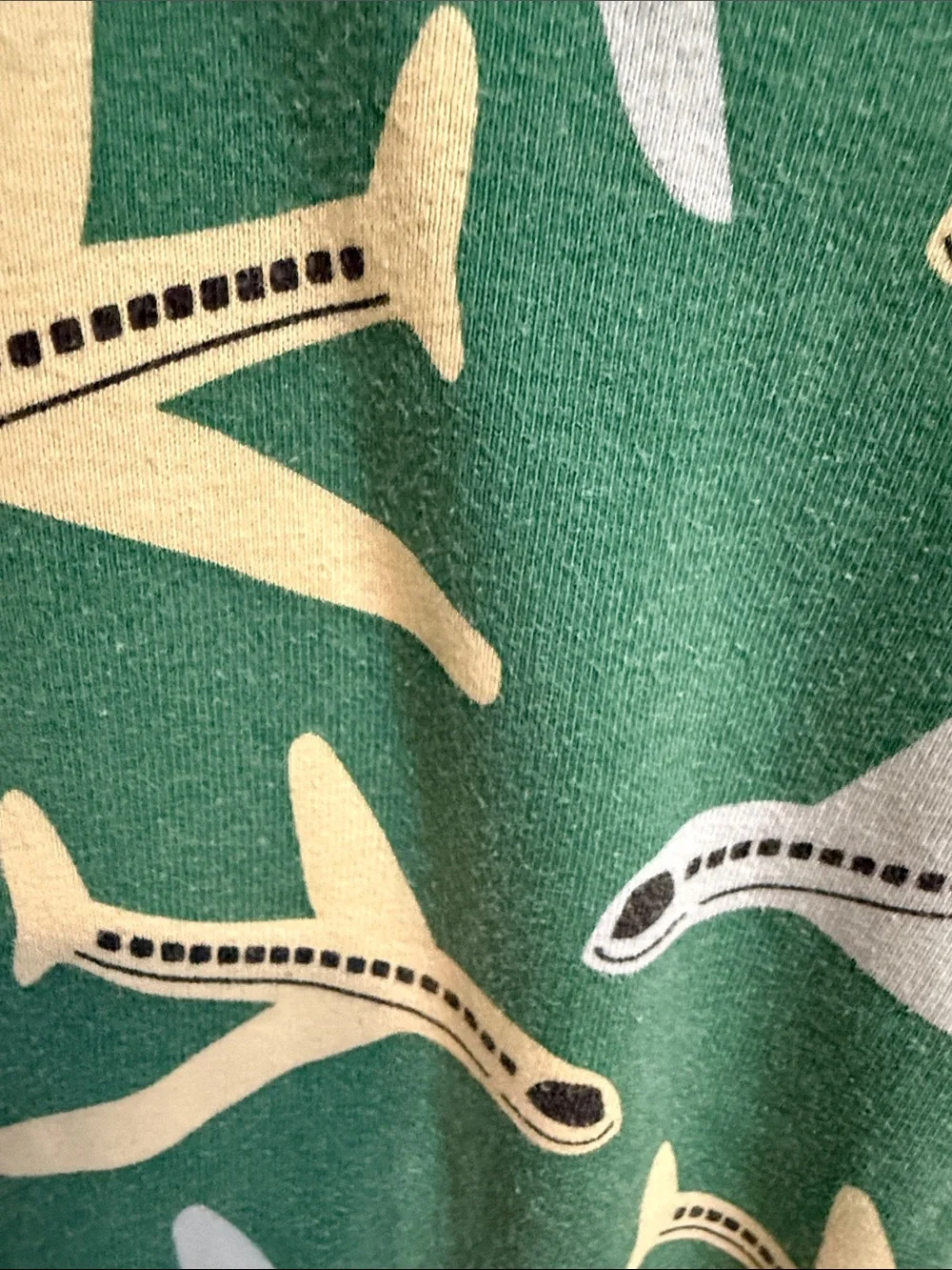 Hanna Andersson Green Airplane Print Pajama Set